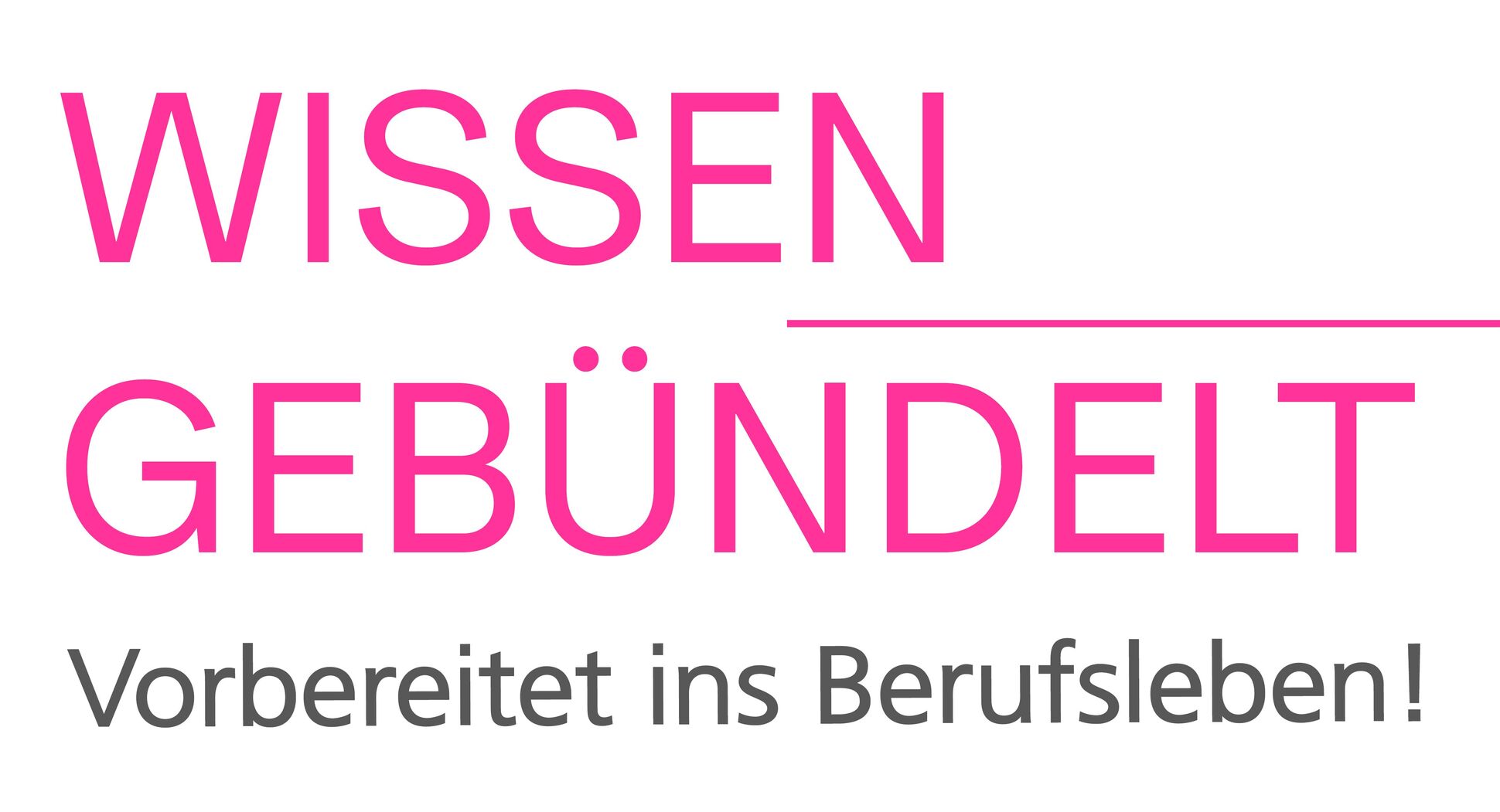 Wissen gebündelt. Vorbereitet ins Berufsleben!