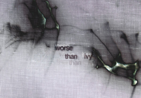 Worse than Ivy verschwommenes schwarz-weiß Foto eines Stoffgewebes mit dem Titel der Ausstellung in der mitte